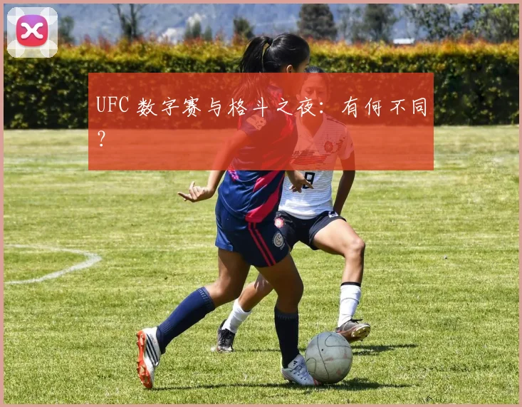 UFC 数字赛与格斗之夜:有何不同?