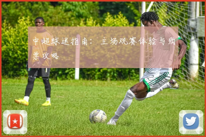 中超球迷指南：主场观赛体验与购票攻略